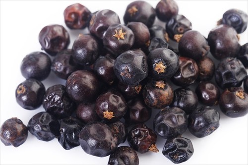 Juniper berries whole dried - juniper, berries,