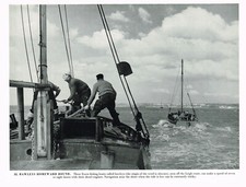 Bawley's Homeward Bound Leigh