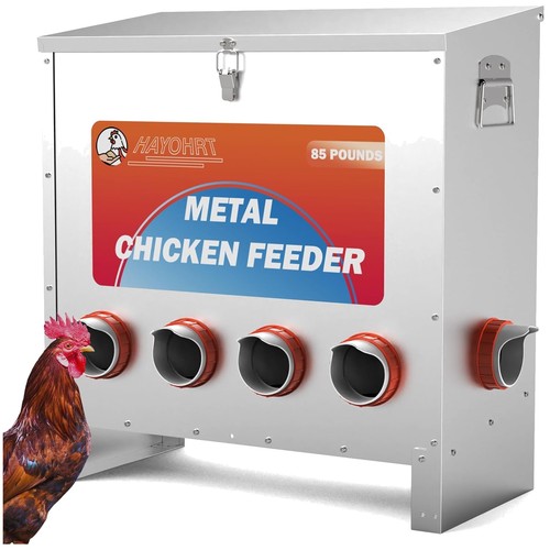 Efficient gravity chicken - efficient,