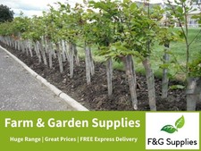 Spiral Rabbit Guards for plant protection - just choose how many you need!