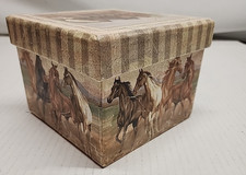 Wild Horses Storage Box