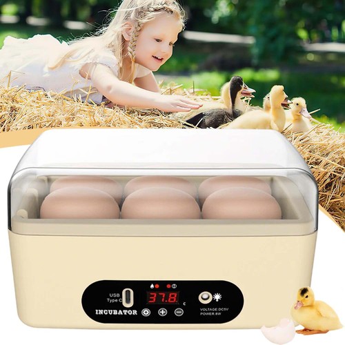 Eggs mini incubator poultry - 6,