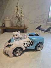Paw Patrol Rare Rory Cat Pack
