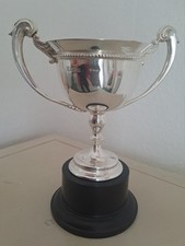 Irish solid silver trophy - silver,