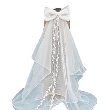 Delicate Bridal Layered Veil