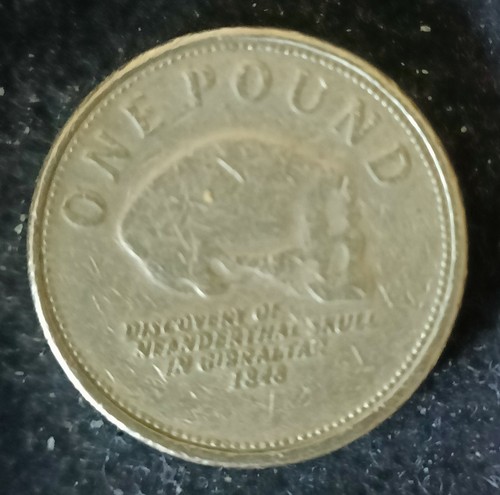 0741 gibraltar pound coin - pound,