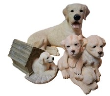 Lovely Labrador Retrieve Dog with Her Pups  🤍