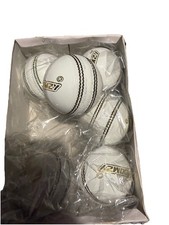 Junior Cricket Balls School