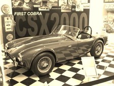 Shelby cobra csx2000 - shelby,