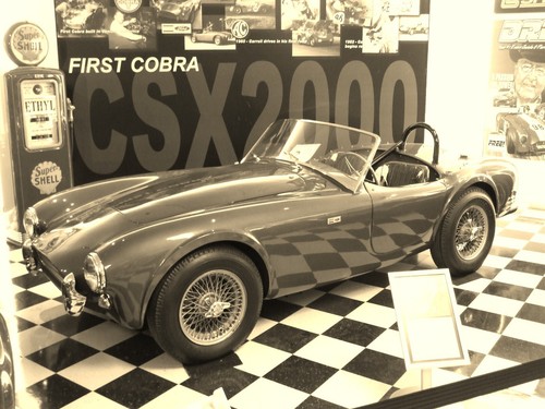 Shelby cobra csx2000 - ac,