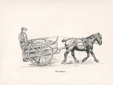 ORIGINAL VINTAGE HORSE SKETCH ART PRINT PAGE BY K F BARKER 1937 "THE MILKMAN"
