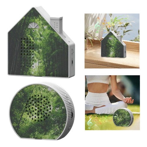 Bird sound box nature singing - sound,
