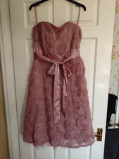 Pink Rose Vintage Fitted Dress