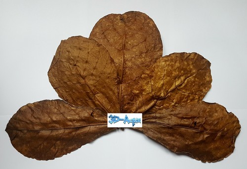 Dried aquarium leaves - dried,
