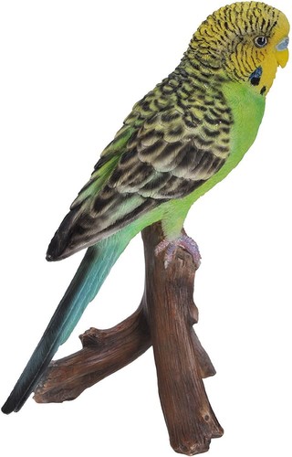 Vivid arts pet - pals, budgerigar