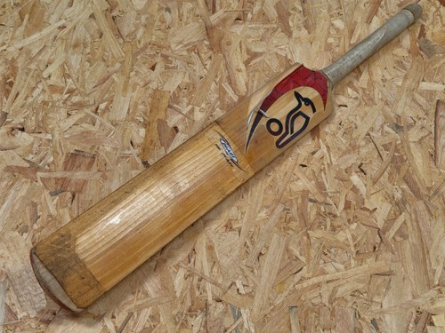 Vintage kookaburra beast the - beast,