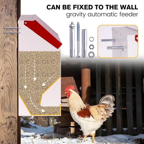 Galvanized steel poultry - steel,