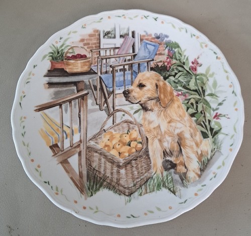 Royal albert man best - royal,