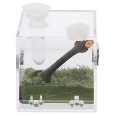 Tarantula Feeding Box Jumping