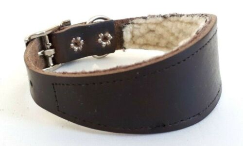 Leather italian greyhound - leather, greyhound/
