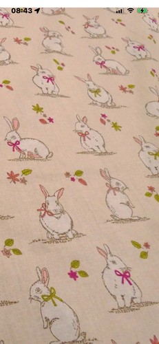 Metres cute bunnies - of,