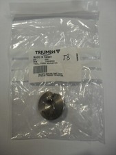 GENUINE TRIUMPH STREET TRIPLE
