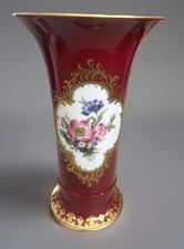 Gorgeous large kaiser - gorgeous,