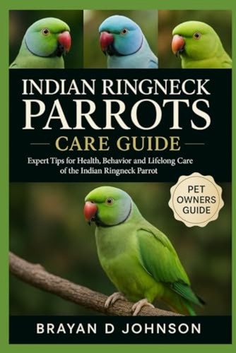 Indian ringneck parrots - ringneck,