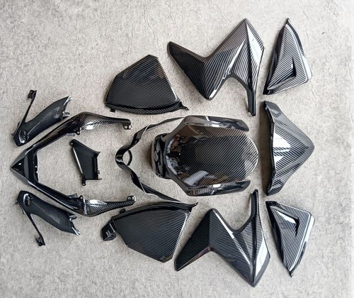 Carbon fiber body - carbon, painted