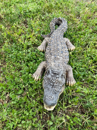 Realistic resin 46cm - resin,