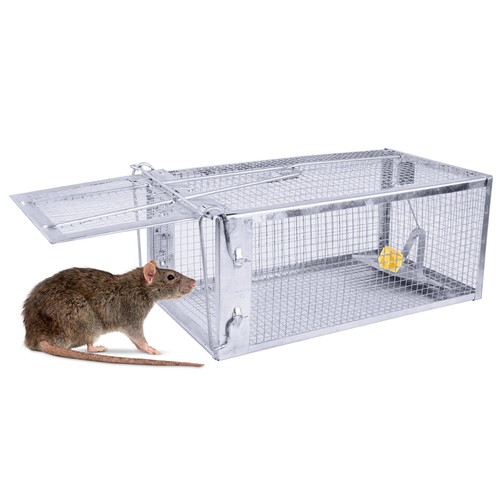 Galvanized iron mouse - mouse, trap