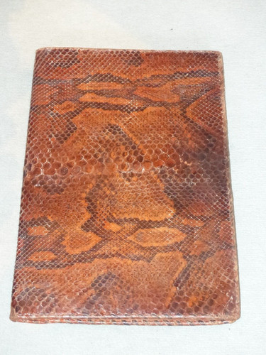 Antique vintage snake skin - /,