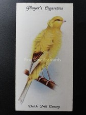 No.10 DUTCH FRILL CANARY - Aviary and Cage Birds by John Player 1933