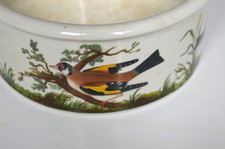 Portmeirion Birds of Britain