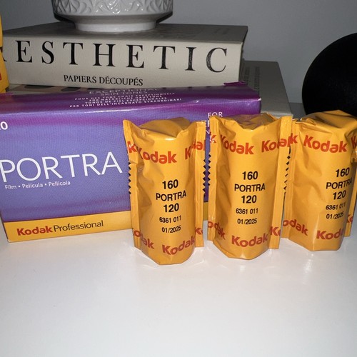 Kodak portra 160 color - kodak,
