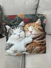 Super soft Sleeping Kittens