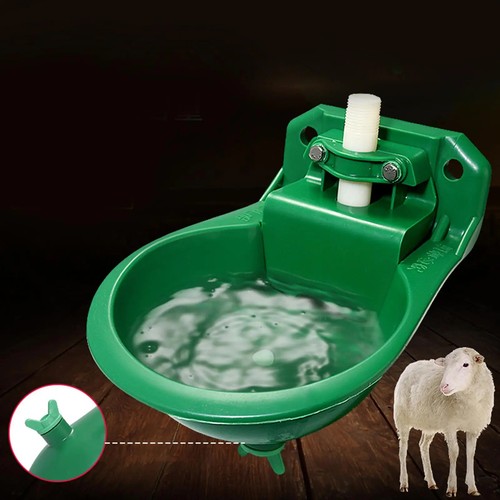 Automatic sheep goat drinker - sheep,