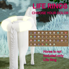 Life Ring Accessory 🔥4/24