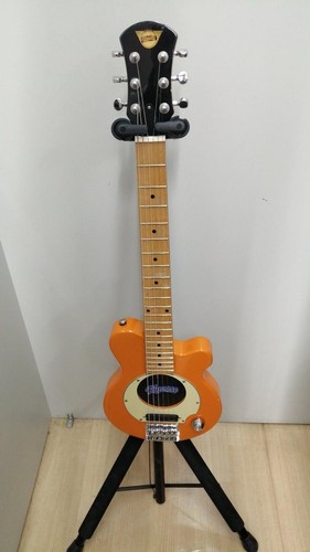 Pignose pgg 200 - pgg-200, electric