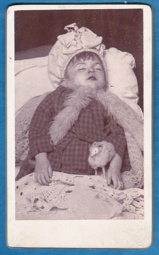 Vintage cdv photo - photo, girl