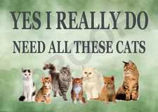 Funny Cat Aluminium Metal