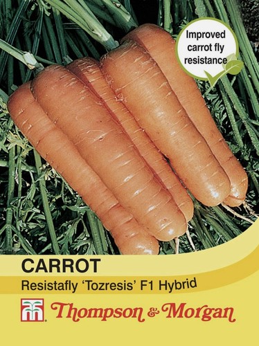 Thompson morgan carrot seeds - &,