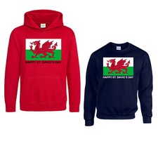 Happy St David's Day Hoodie