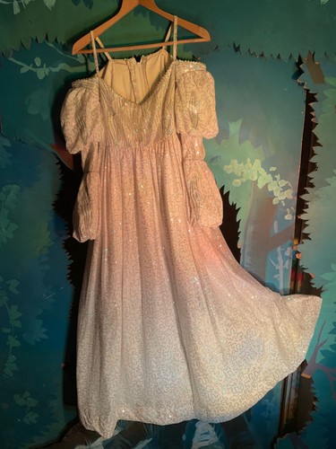 Pantomime costume principal - pantomime,