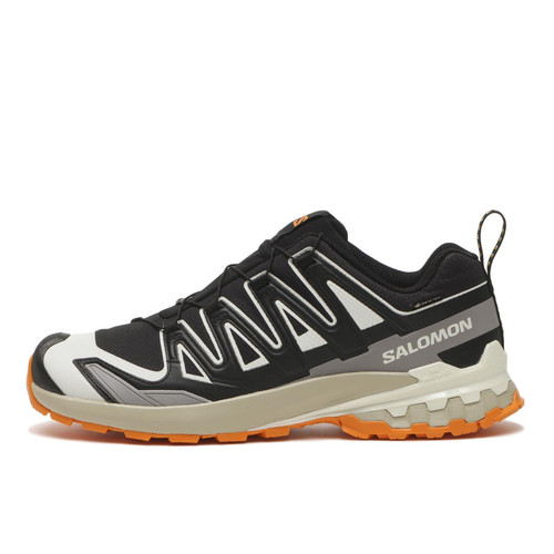 Salomon pro gtx black - 3d,