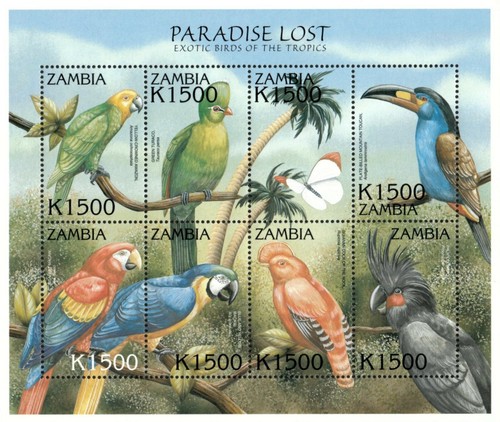 Zambia 2000 exotic birds of - -,