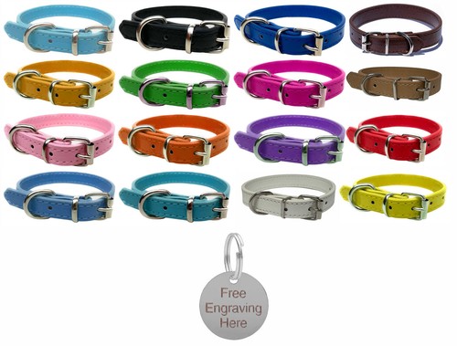 Vibrant leather dog - dog, for