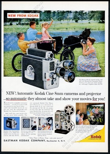 1959 black miniature horse