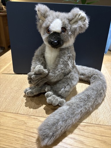 Born africa bush baby - in,