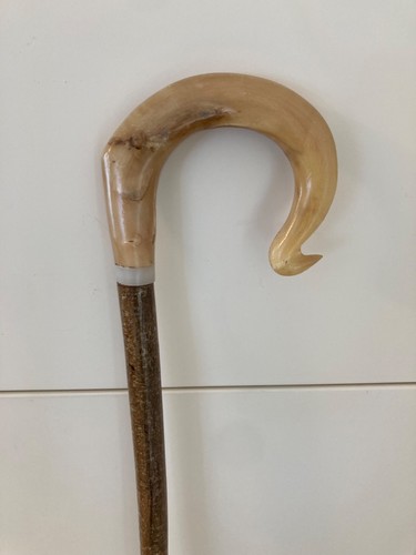 Tall rams horn - ,